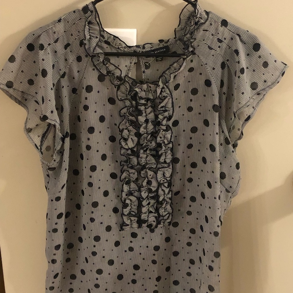 Sheer Dress Shirt